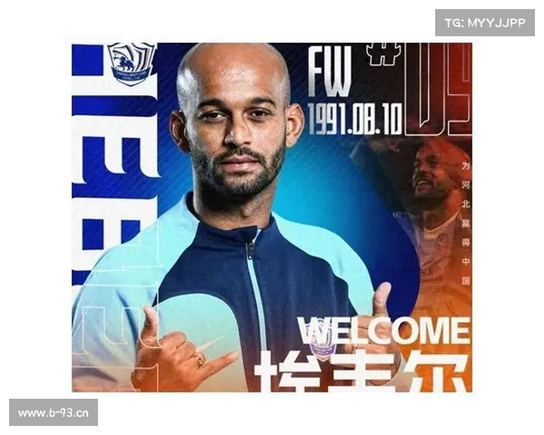 荷甲赛事延期风暴席卷荷兰足坛球迷热议联赛未来走向